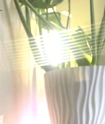 Luz natural y plantas en el espacio de terapia — Programa Terapéutico Integral